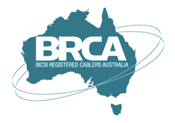 BICSI Registered Cablers Australia (BRCA) logo